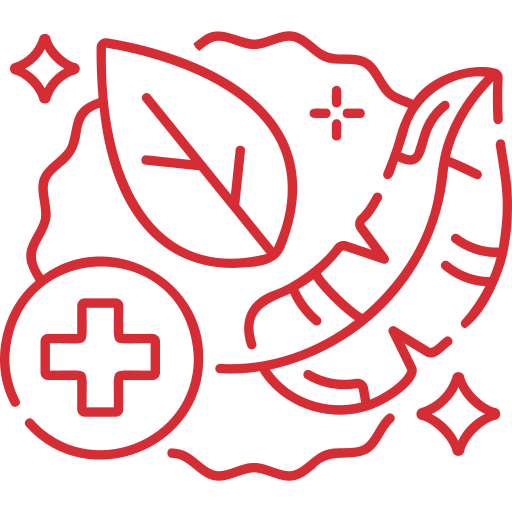 Allergen icon including feather, leaf and cross shape