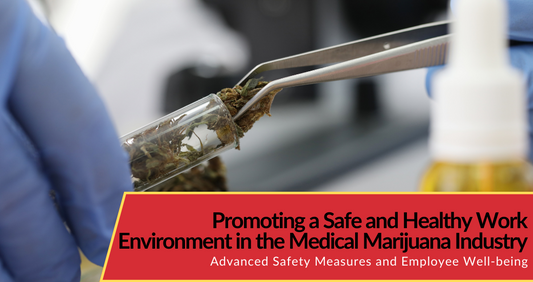 Promoting a Safe and Healthy Work Environment in the Medical Marijuana Industry: Advanced Safety Measures and Employee Well-being
